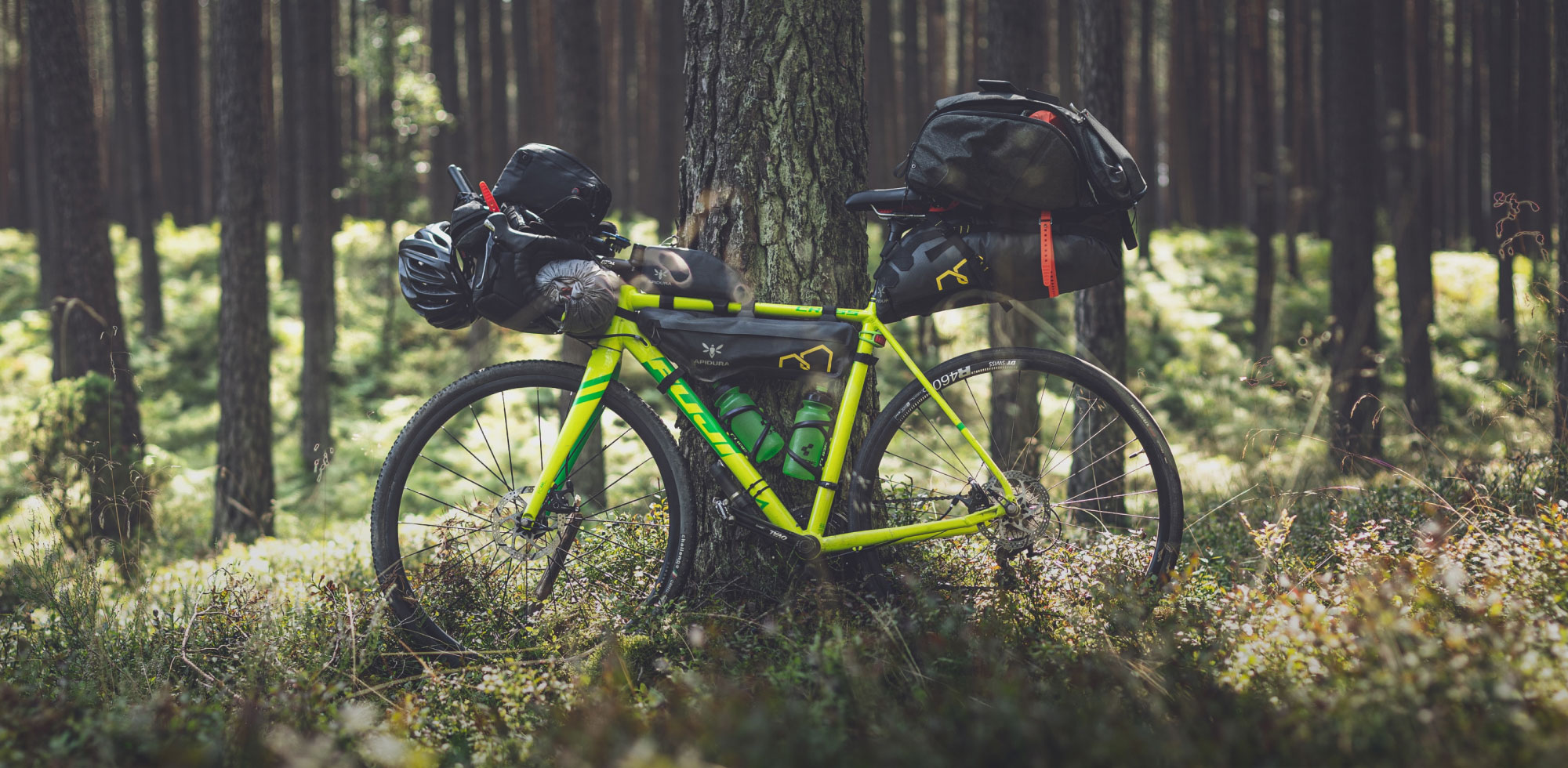 Gravel bike with camping gear in woods